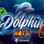 Dolphin Hot 1